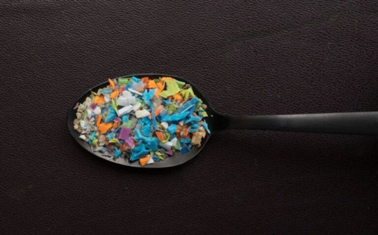 人間の脳にスプーン1杯分のマイクロプラスチック、認知症と関連性が指摘される