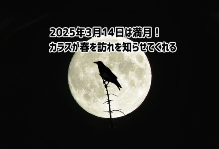 2025年3月14日（金）は満月！いよいよ春の到来だ！