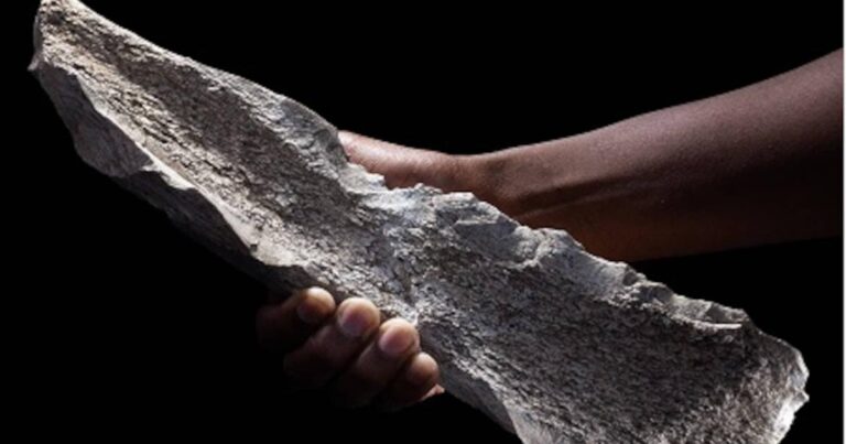 150万年前の骨の道具一式が発見され、初期人類の道具の歴史を書き換える