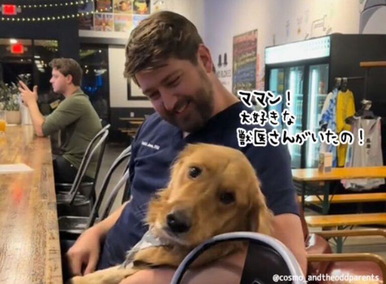 獣医の仕事が報われた瞬間。プライベートで患者の犬が駆け寄ってくれた時