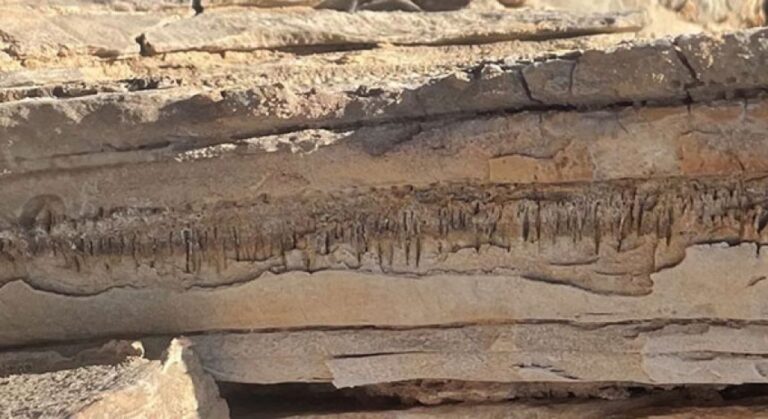 未知の生物が残した痕跡か？100万年以上前の砂漠の岩に奇妙な構造体を発見