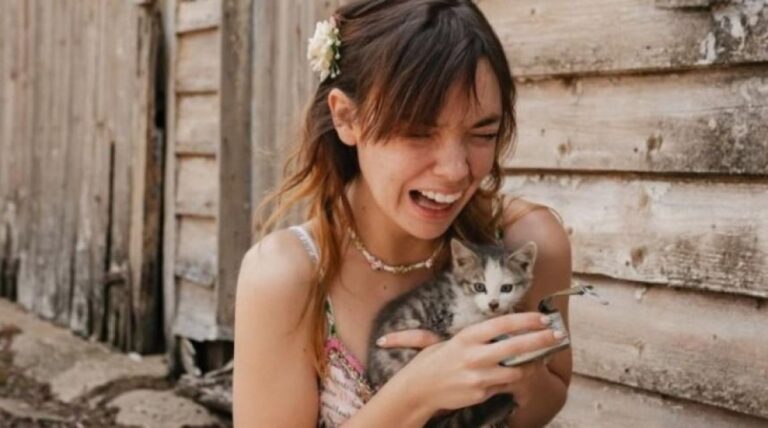 結婚式前日に4匹の子猫を発見した花嫁のミッション・コンプリート