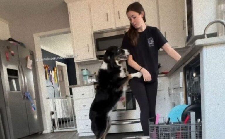 この子のおかげで今日を生きられる！飼い主の異変を察知し、助けるための行動をする犬