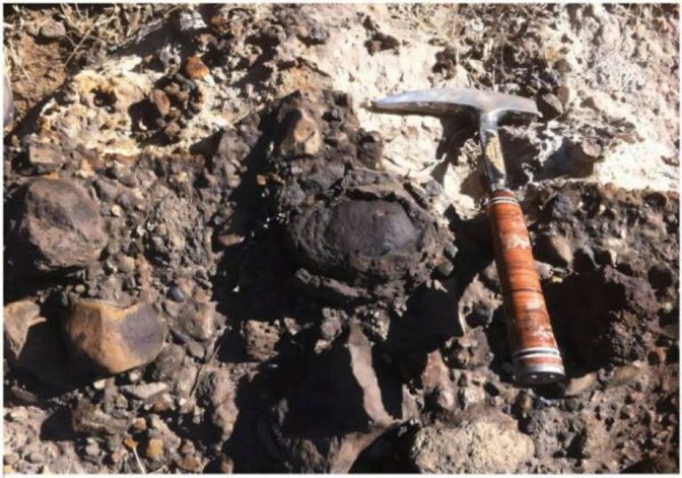 100万年前の人類の先祖が使用していた球状の火山岩の道具を発見