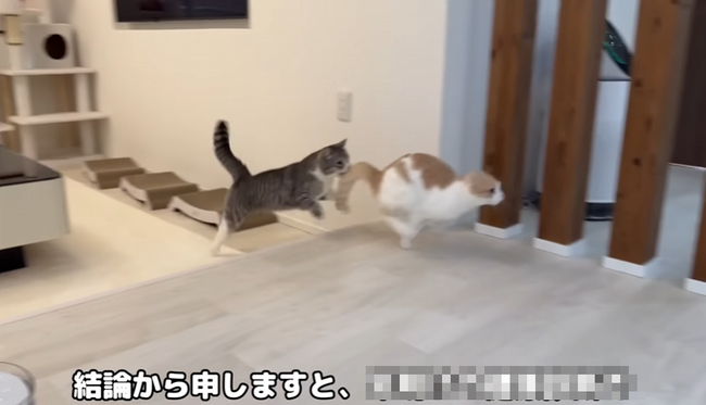 活動再開したもちまる日記「休止してた本当の理由を言います」 → 真の理由がえぐかった・・・