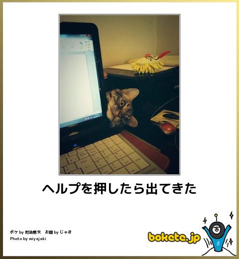 笑った画像を貼って『かいせき料理』