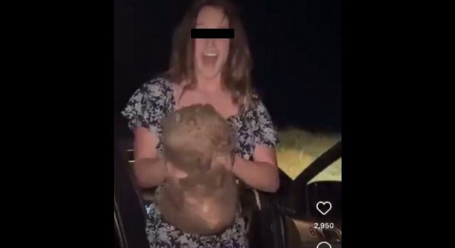 女性インフルエンサー「あ！見て！ウォンバットの赤ちゃんがいる！・・・オラァ！」→母親から無理やり引き剥がし強奪した結果・・・