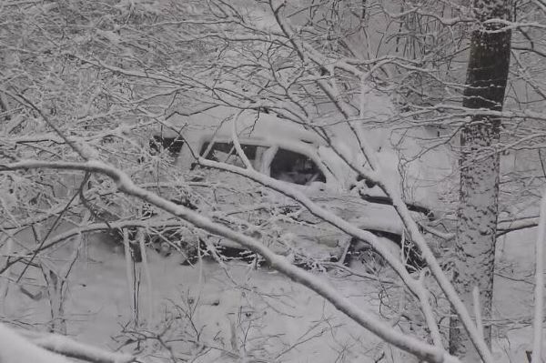 東京都民の男性、雪が降りしきる長野県を『オールシーズンタイヤ』装着の車で走行し、死亡