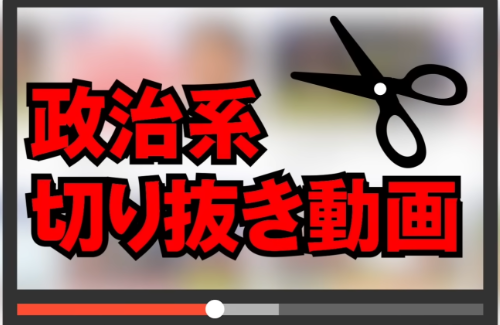 【衝撃】政治系切り抜き動画を投稿してる人の年収、とんでもないことになっていた・・・