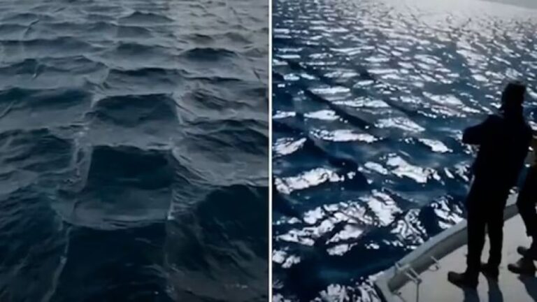 海の波が格子状に！いったい何が起きている？