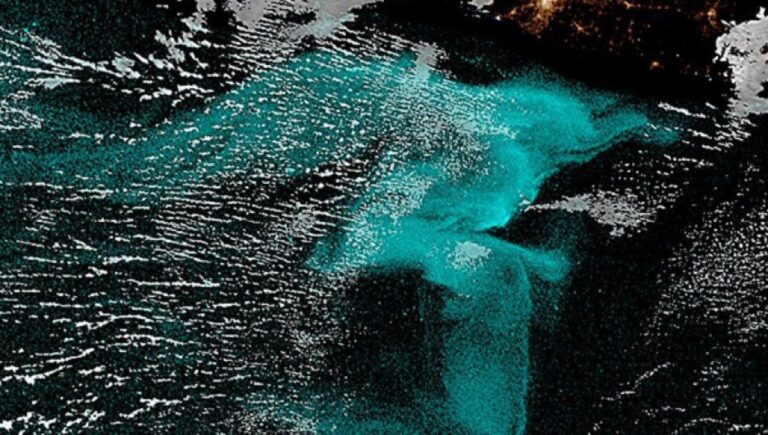 夜の海が怪しく光る「ミルキーシー」現象、400年分の目撃記録からその謎に挑む研究者