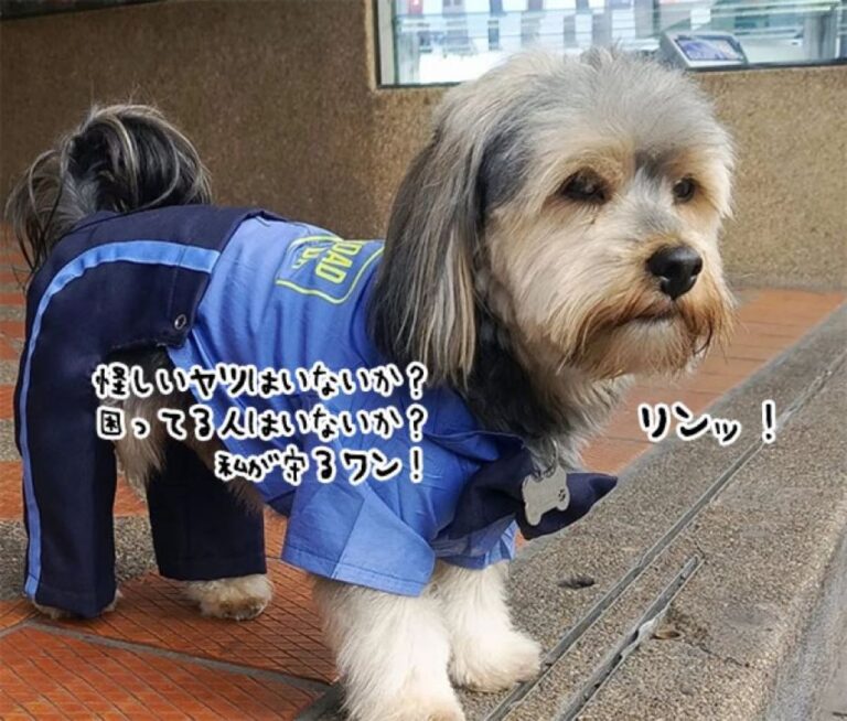 ショッピングモールを守るワン！かっこいい制服に身を包み、任務に勤しむ犬の警備員
