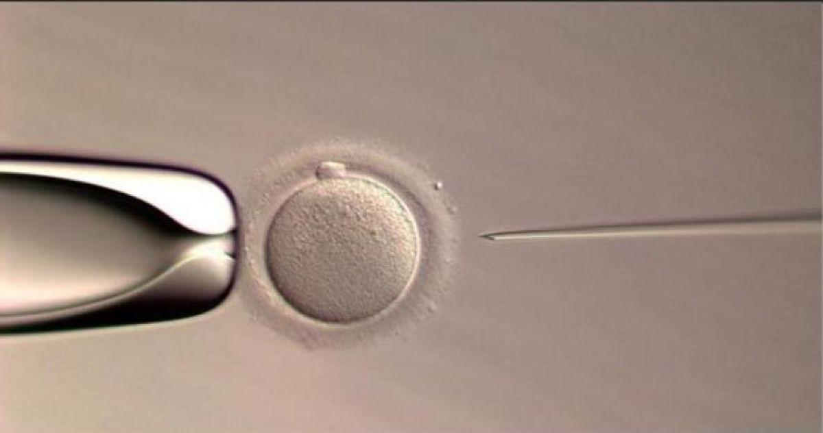 AIが命をつなぐ時代に。世界初、遠隔操作の全自動体外受精で赤ちゃんが誕生