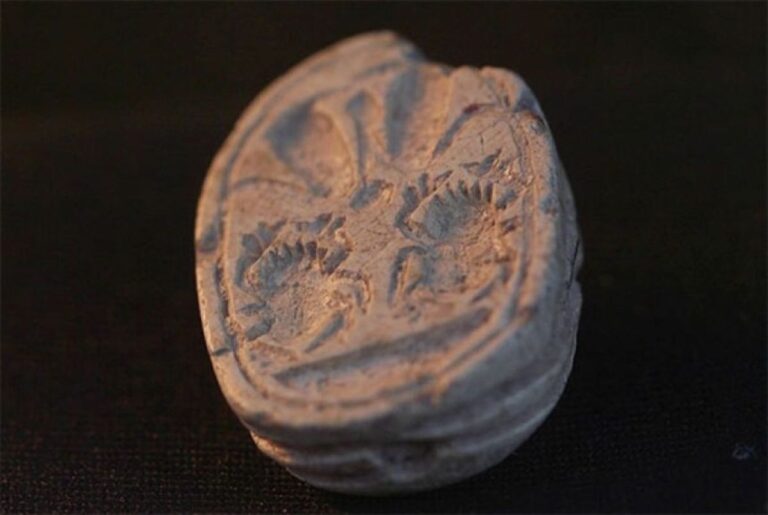 石だと思ったらお宝だった！3歳少女が3800年前のスカラベが彫られた印章を発見