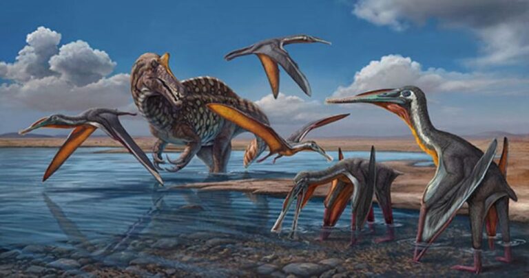 タイで新たな種の翼竜の化石が発見される