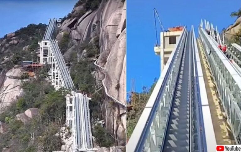 これはラクチン！エスカレーターであっという間に山頂へ行ける「無痛登山」が中国で流行中