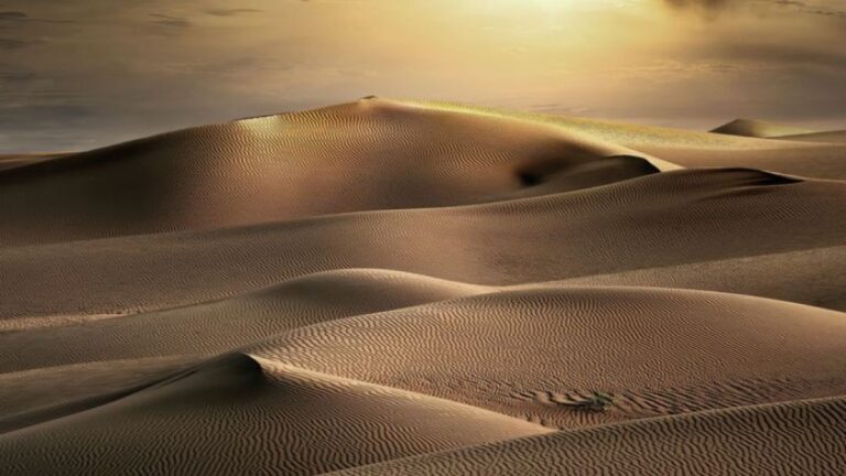 アラビア半島の砂漠に眠る5000年前の文明をAI技術で発見！