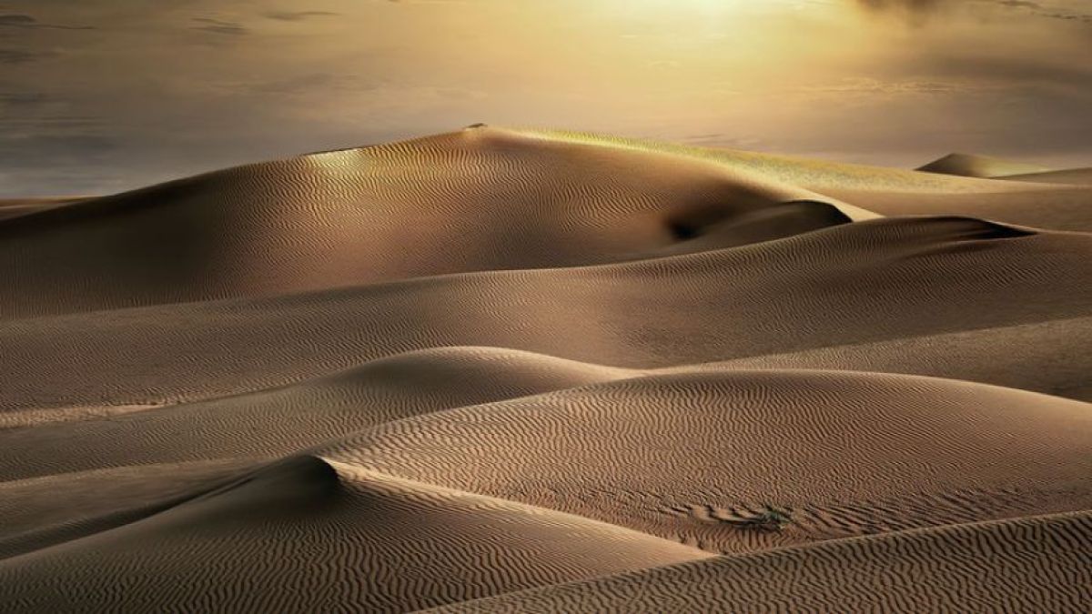 アラビア半島の砂漠に眠る5000年前の文明をAI技術で発見！
