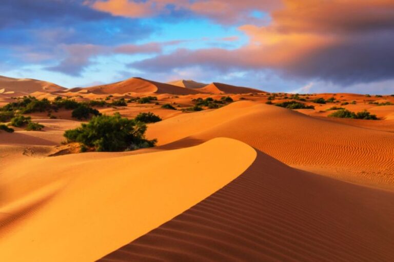 サハラ砂漠に未知の人類が存在していたことが7000年前のミイラのDNAで明らかに