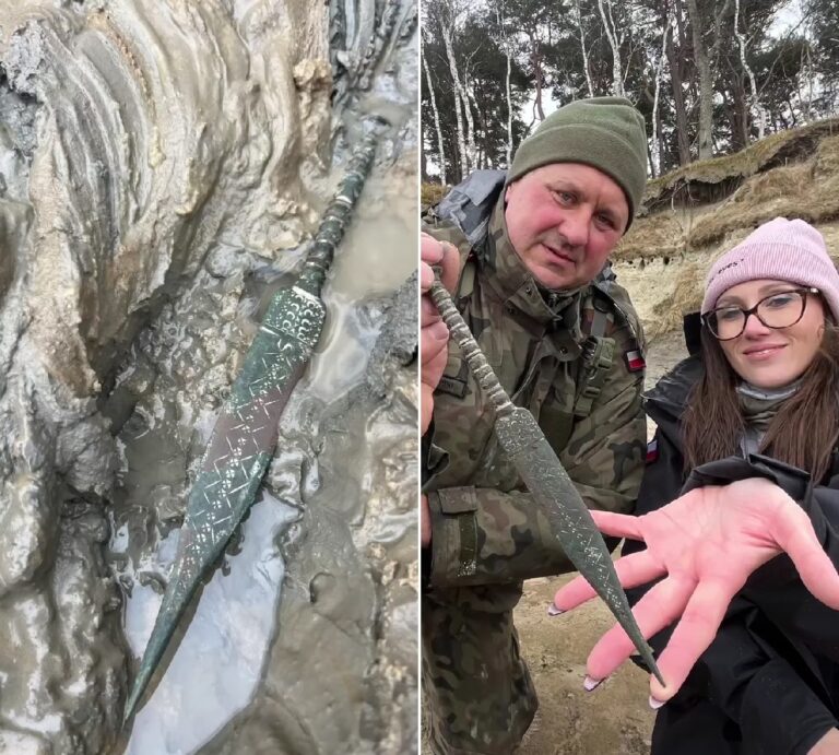 金属探知機で2500年前の短剣を発見！太陽信仰の証拠となる可能性