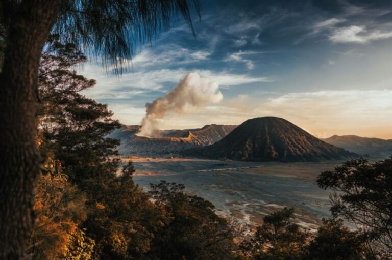 火山は木々を通じて秘密の信号を送っていた。NASAが人工衛星で観測し噴火予測