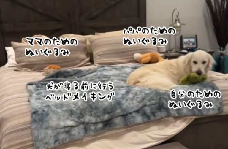 これはママの分、これはパパの分。愛犬が寝る前に行うルーティーンが飼い主の心を溶かす