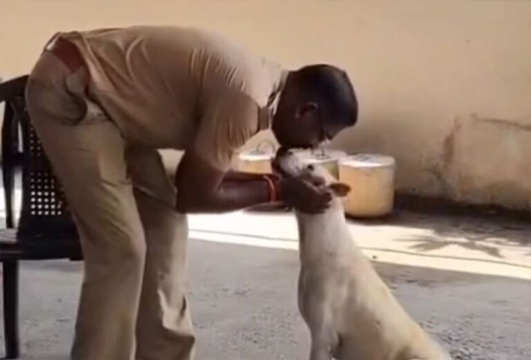 消防士が引退する日、最後までそばを離れなかった犬の純粋な愛情に胸を打たれる
