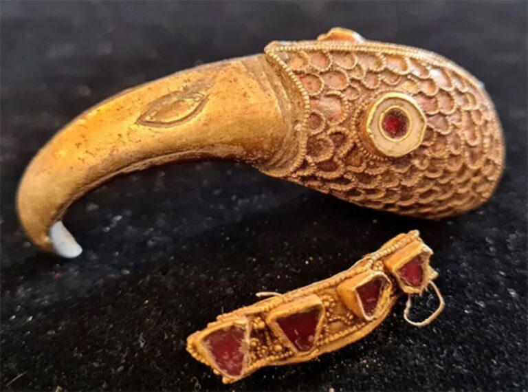 金属探知機でお宝発見！1400年前の金と宝石のカラスの頭と帯状の装飾品を出土