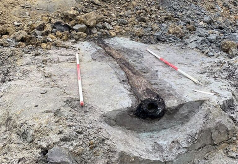 木の幹をくりぬいて作った1800年前の排水管を発見。古代ローマ時代の高度なインフラ技術