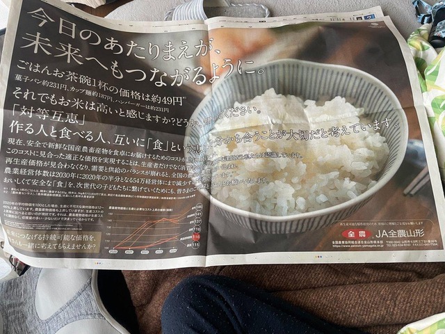 JA「ご飯1杯49円、菓子パン231円、カップ麺187円、ハンバーガー231円、それでも米は高い？」←煽りすぎ？と賛否