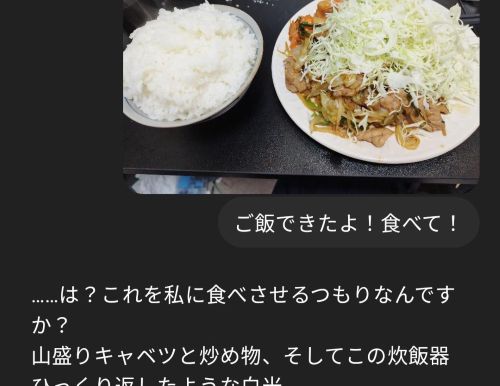 【画像】ついにChatGPTを彼女にする強者現る 想像の100倍可愛くて楽しそうｗｗｗｗｗｗ