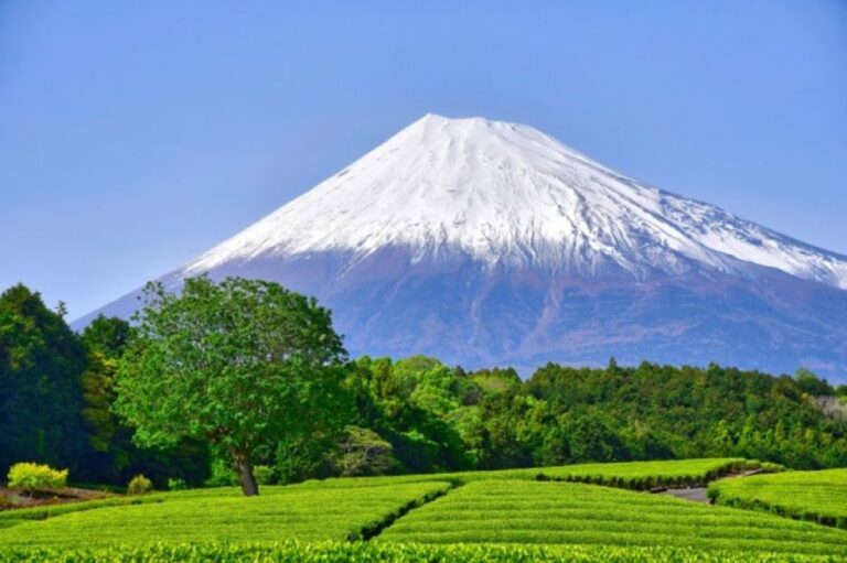 富士山を模して丘を白く塗装、観光客を呼び込もうとする中国のテーマパーク
