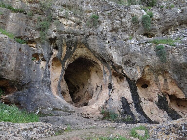 14万年前の墓に埋葬された子供、ネアンデルタールと現生人類の混血だったかもしれない