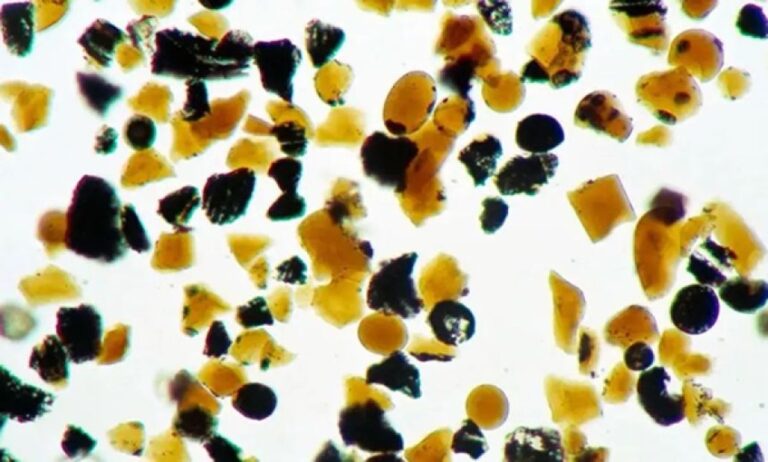 月面を覆うオレンジ色のガラス粒子、最新技術が明かす古代の火山活動の記録