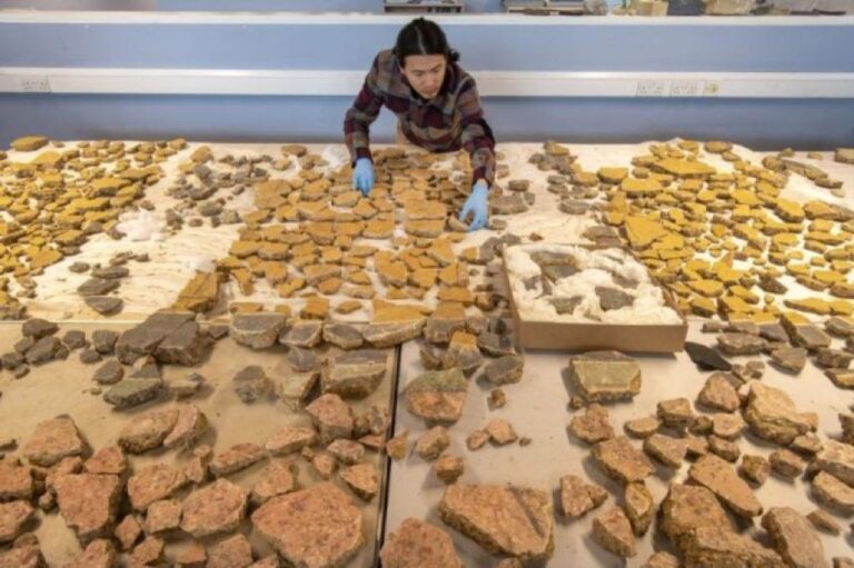 世界で最も難しいジグソーパズル、粉々に砕けた1800年前の古代ローマ壁画の復元