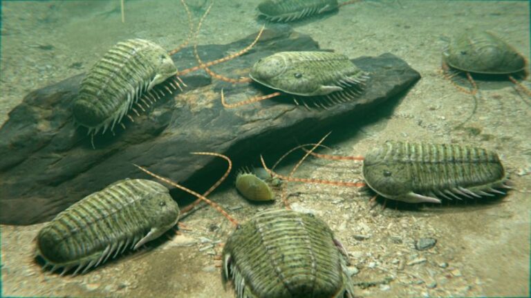 あまり知られていないオルドビス紀の大量絶滅の謎、85％の種が絶滅