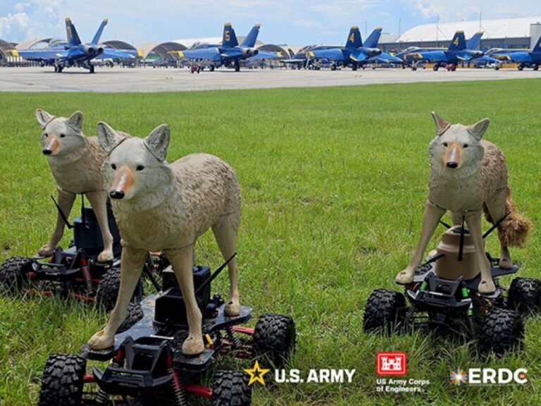 野生動物から空港を守るため、米軍が開発したコヨーテロボットがちょっとかわいい