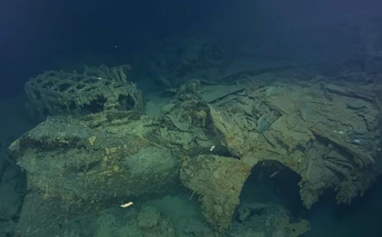 第二次世界大戦で沈没した日本の駆逐艦「照月」、80年ぶりに海底で発見される