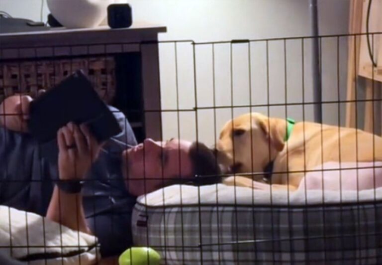 愛犬がソファに座れないなら、自分も使わない。寄り添い続けた男性の深い愛情に感動