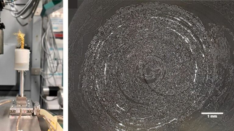 モンゴルの仏教巻物の解読に成功。そこにはありがたいお経が記されていた