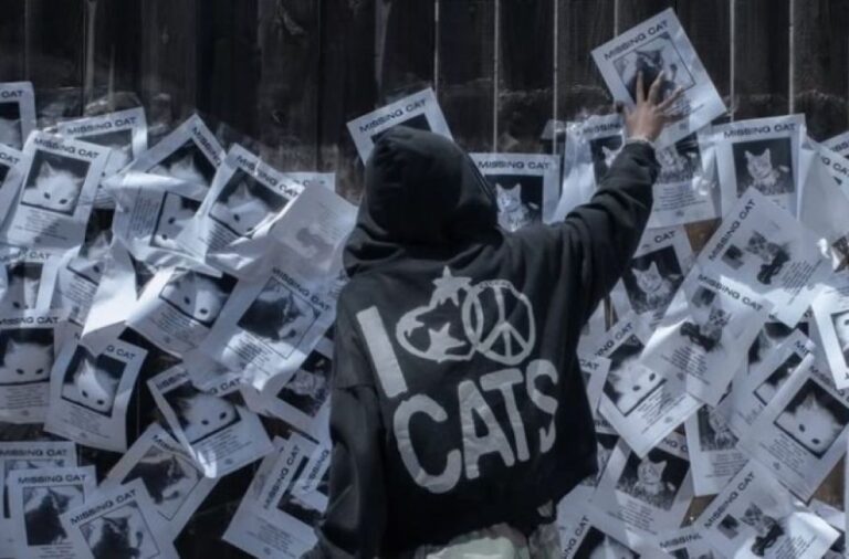 猫は家にいるけど？「お宅の猫を見つけた」との電話が頻繁にかかってくる理由