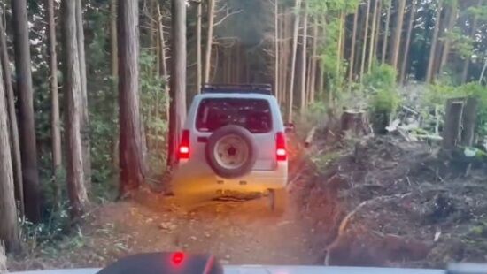 ジムニー乗り「うわ！ハチが車内に入ってきた！どうすんのこれ！」→最悪の事態に・・・