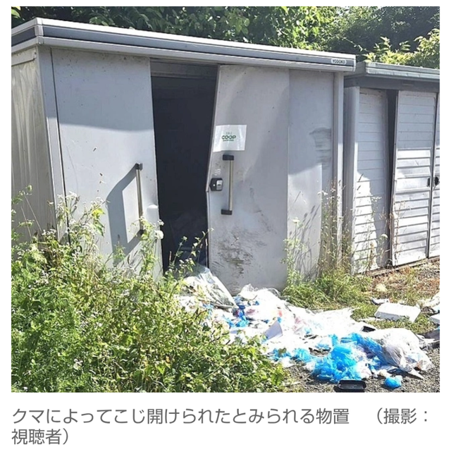 【ヒグマ速報】新聞配達員がクマに襲われ死亡した福島町、商業施設の金属製の物置が力ずくでこじ開けられる   住民の不安いつまで
