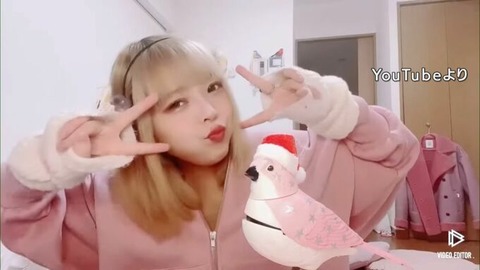 頂き少女りりちゃん「後悔してません！おぢとは人間と接した感覚ではないので！」