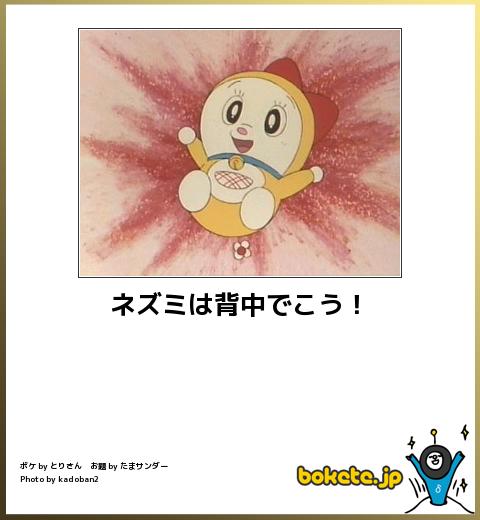 【笑ったら負け】最強にツボった画像集まれｗｗｗ