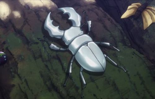 【画像】「ヤバいクワガタ捕まえちゃったから見て」パシャッ　→　ガチのマジで超激レアすぎて昆虫界隈騒然！「鑑定団でなんと200万円の価値」