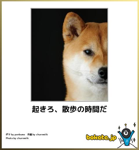 思わず吹いたｗ爆笑画像＆神コピペ貼ってけ