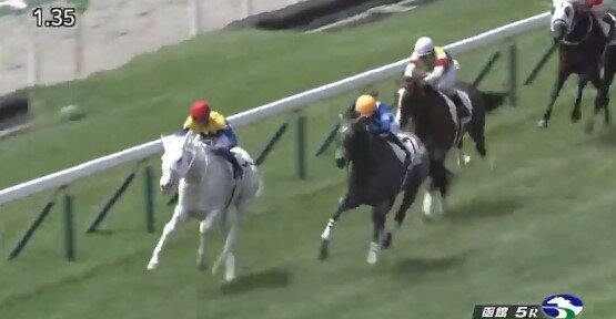 あまりにも綺麗な白馬でソダシの半妹・マルガがデビュー戦で圧勝！！　競馬会に新たなアイドルが爆誕