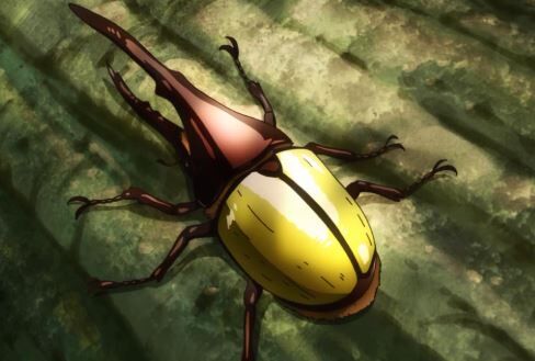 【画像】「ヤバいクワガタ捕まえた（ﾊﾟｼｬｯ」 → マジで激レアすぎて10万いいね超え…200万円の価値がある模様