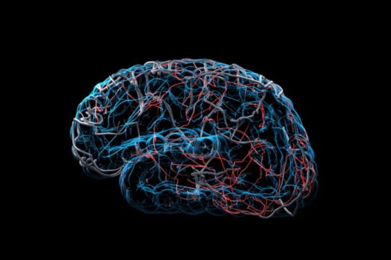 保存した脳から記憶を取り出せる日はくるのか？脳科学者312人に聞いた驚きの答え